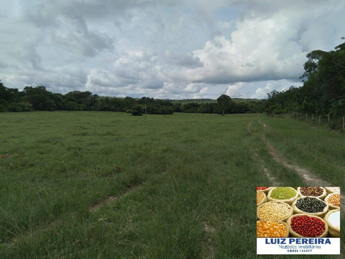 Imagem 11 de 13 de Fazenda À Venda Em Cristalândia - To - 1,302 Hec Planta Soja - 1629