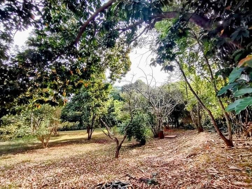 Imagem 9 de 25 de Chácara 3000m2, Casa Sede Com 3 Dormitórios Sendo 1 Suíte, Piso Em Porcelanato, Piscina, Quarto De Ferramentas - Ch00174 - 70327373
