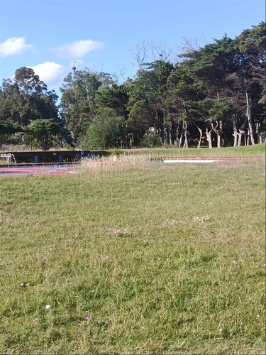 J.s Único Terreno De 1.67 Ha. Frente Al Mar En Bella Vista