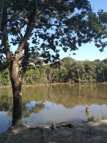 Imagem 11 de 13 de Terreno Limpo E Com Platô Em Condomínio Quinta Da Mata.