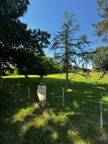 Venta Terreno En Barrio Los Bosquecitos Brandsen