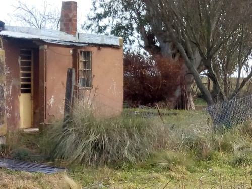Imagen 6 de 10 de En Venta Quinta En Dorbigny, Coronel Suarez