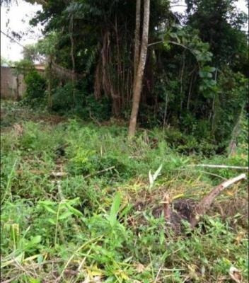 Imagem 1 de 7 de Terreno No Jd Umuarama Com 170 M², Em Itanhaém/sp | 5973-pc