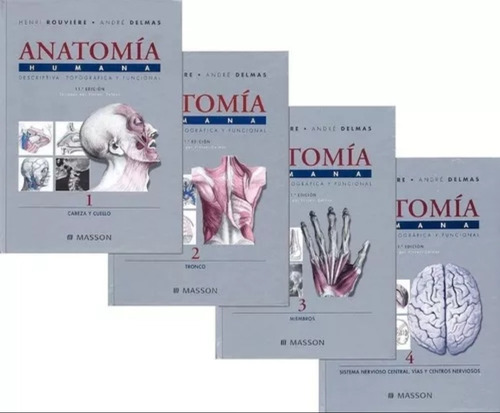 Anatomía Humana 4 Tomos Rouviere Libros 