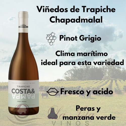 Imagen 2 de 10 de Vino Trapiche Costa & Pampa Pinot Grigio 750ml.