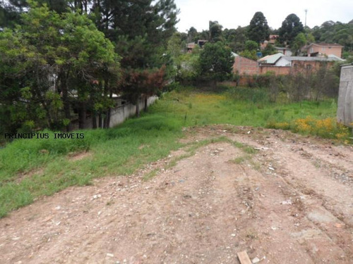 Terreno Para Venda Em Colombo, Vila Florestal Grajau - 00112_2-400591
