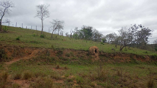Imagem 10 de 14 de 16- Lotes Na Cidade De Arujá