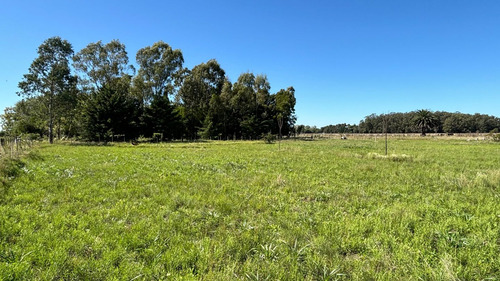 Lote De 72.5x82.5 En Veronica, Punta Indio