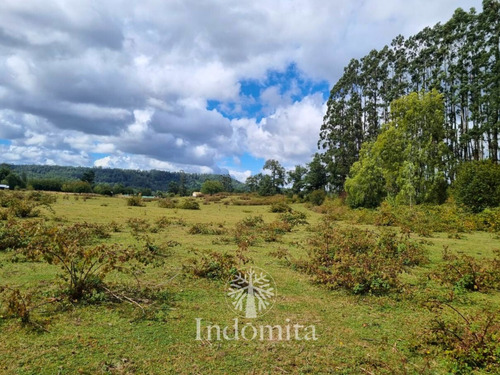 Terreno De 1 Hectarea Con Rio En Fresia