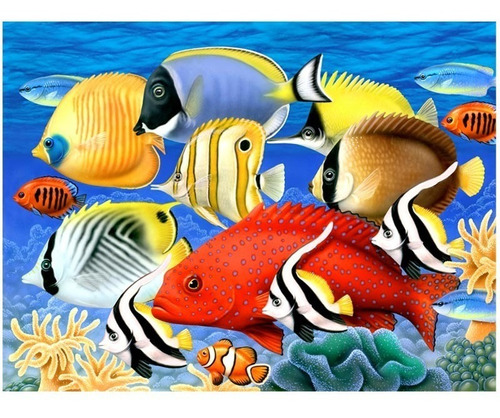 5976 Poster Lenticular 3 D -  Coral Fish