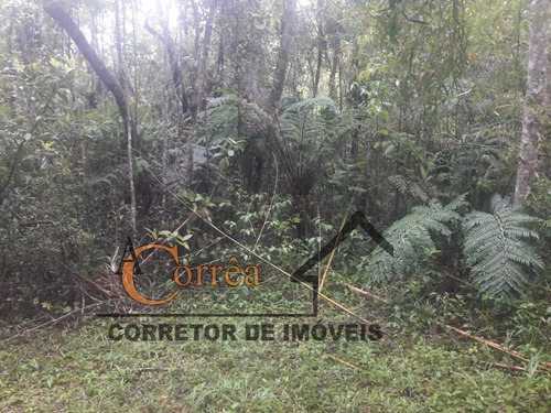 Terreno Com Nascente E Boa Topografia Em Juquitiba-sp