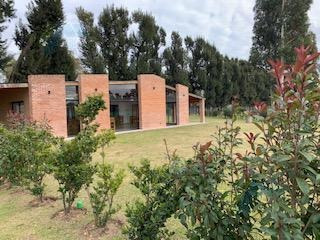 Imagen 8 de 19 de Terreno - Santo Tomás