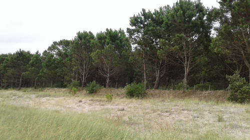 Campo En Colonia.