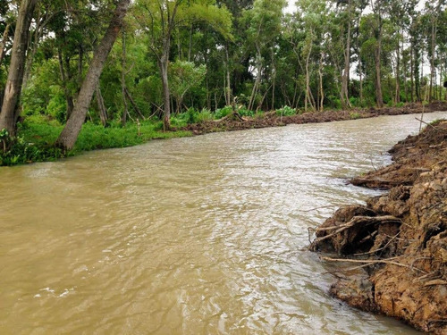 Imagen 11 de 30 de Lote Venta 2da Sección Delta Islas Sobre Paraná De L. Palma