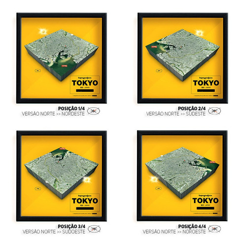 Tóquio (japão) - Mapa 3d Infograf - 1 Quadro 20x20cm