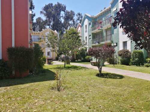 ¡vive En Algarrobo! Depto. 3d/2b Amoblado 70m²