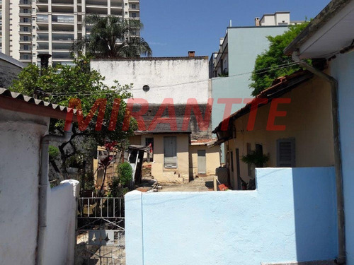Imagem 3 de 5 de Terreno Em Santa Terezinha - São Paulo, Sp - 107035