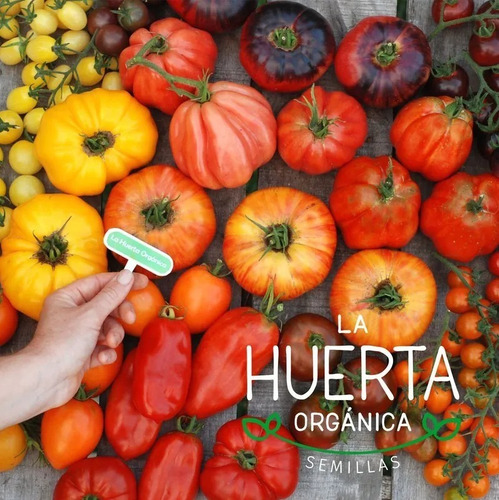 Semillas Maíz Blanco Dulce Para Choclo | La Huerta Orgánica