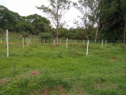Imagem 3 de 3 de A.a Chega De Stress , Compra Seu Terreno Vem Morar No Campo!