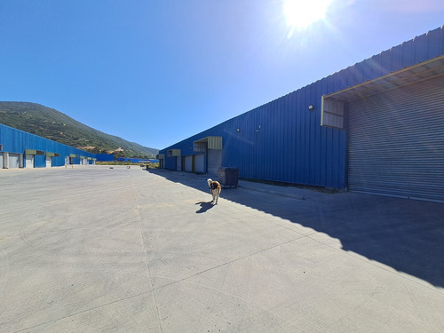 Arriendo De Bodegas Nuevas En Casablanca Id 71.417-in