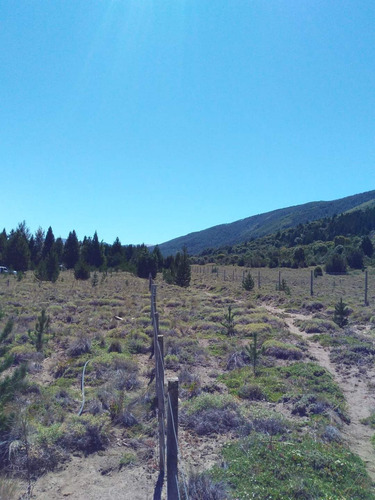 Venta De Lote En Lolog, Junin De Los Andes, Neuquén