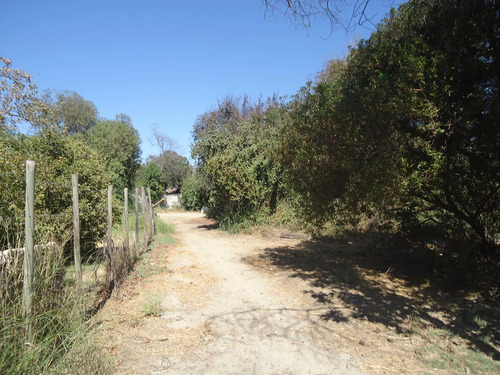Conectividad Centro De Isla De Maipo (177606)