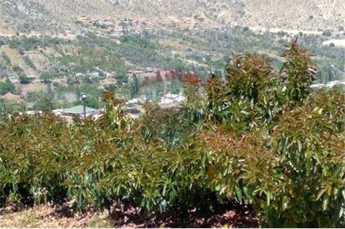Imagen 14 de 22 de Vende Monte Patria Iv Región Colliguay