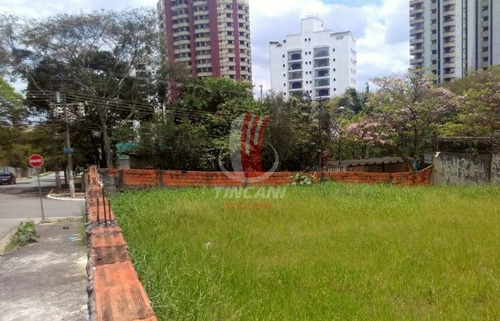 Imagem 7 de 9 de Terreno Para Venda No Bairro Jardim Avelino, 551 M - 4725