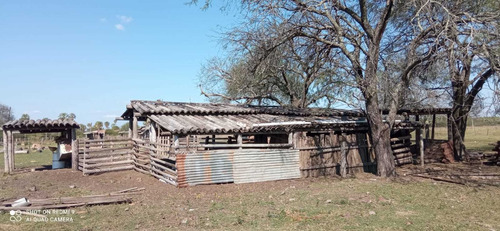 Imagen 6 de 12 de Campo Ganadero En Manuel Belgrano Formosa 944 Hectareas