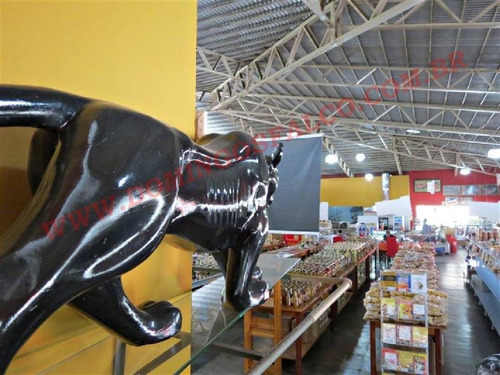Imagem 3 de 20 de Venda - Estabelecimento Comercial - Zona Rural - Juiz De Fora - Mg - D0109