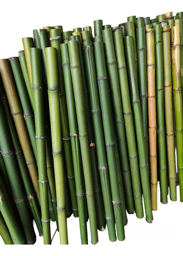 12 Varas Bambú Tutor Jardin Cultivo Estaca 90cm/4-5cm Grosor