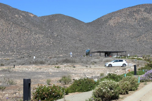 Sitio De Más De 5.000m2 En Exclusivo Condominio Las Mostazas