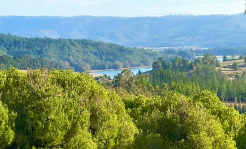 Parcelas En Vichuquén Al Lado De Laguna Torca Y Playa Llico
