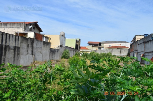 Imagem 4 de 7 de Terreno Para Venda, 0.0 M2, Vila Bruna - São Paulo - 1106
