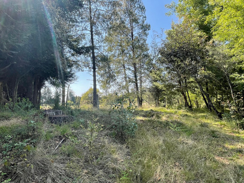 Terreno Residencial En Venta En Catalina