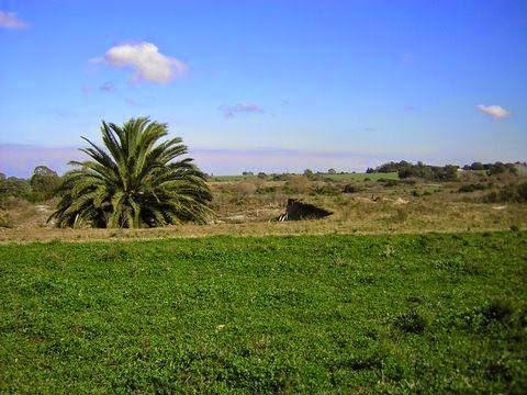 Imagen 2 de 9 de Venta Chacra 30 Has Piedras De Los Indios Colonia Uruguay