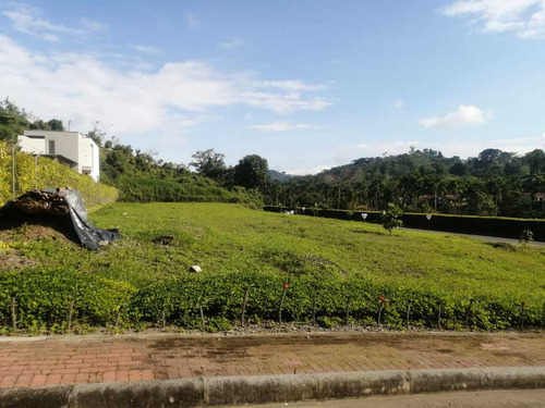 Venta Lote Comercial San Bernardo Del Viento, Manizales Cod. 7004286