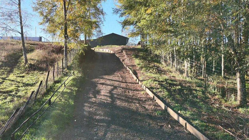Campo En Venta Inversionista Pitrufquen (104143)