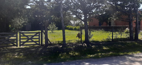 Imagen 6 de 7 de Venta Terreno Parque Sakura Exaltación De La Cruz Sin Expensas