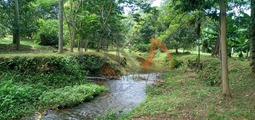 Chácara 30.000m² Com 01 Casa, 02 Tanques De Peixes, Em Morretes/pr. - Cha008 - 69008304