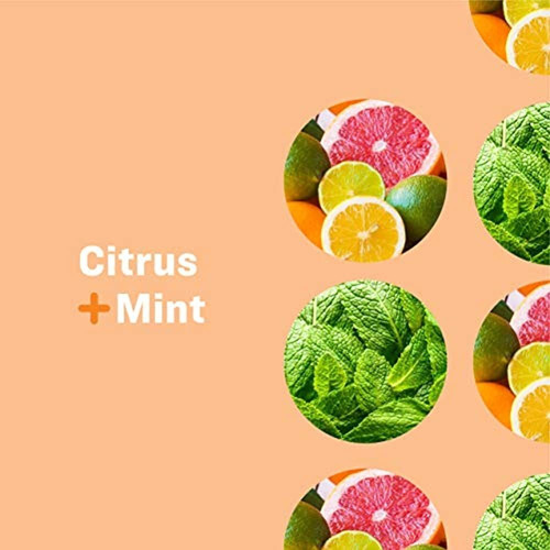 Jabon 3 En 1 Para Todo El Mundo, Citrus Plus Mint, 32 Oz, 2