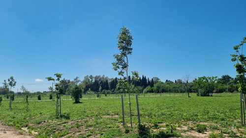 Venta Terreno Longchamps - Lote Barrio La Arbolada
