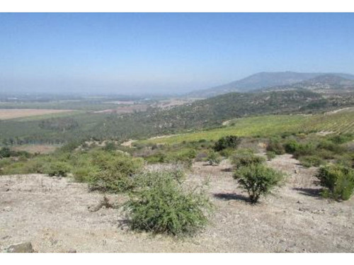 Hermoso Fundo Ubicado A 6,5 Km De San Fernando