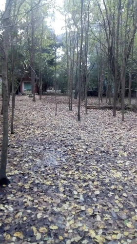Imagen 4 de 8 de Terreno - Fátima Estacion Empalme