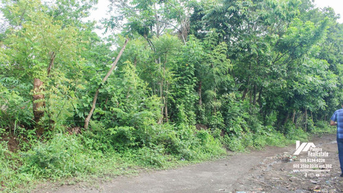 Imagen 5 de 11 de Vendo Finca En Remate En Masaya