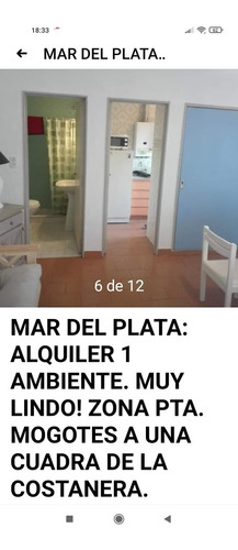 Imagen 5 de 20 de Mar Del Plata: Alquiler 1 Ambiente. Muy Lindo! Pta. Mogotes