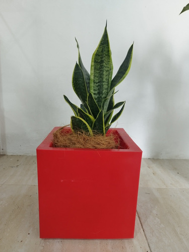 Matero Decorativo Para Plantas De Interior Modelo Autana