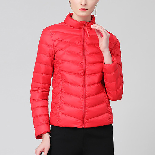 Chaqueta Moderna Para Mujer Con Cuello Alto Y Cremallera Par