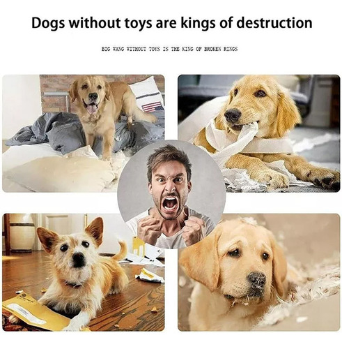 . Kit Dino Indestructible For Perros Con 3 Divertidos