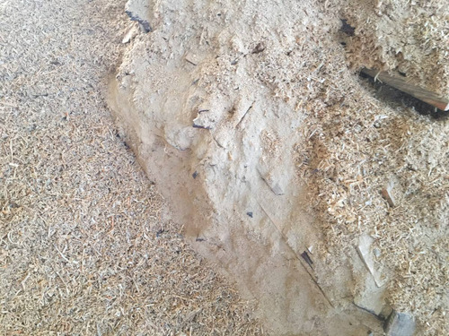 Imagen 2 de 2 de Viruta De Aserrin En Escamas Y Fino